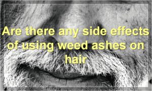 Are there any side effects of using weed ashes on hair
