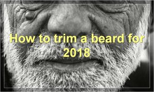 How to trim a beard for 2018