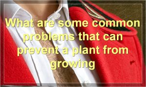 What are some common problems that can prevent a plant from growing