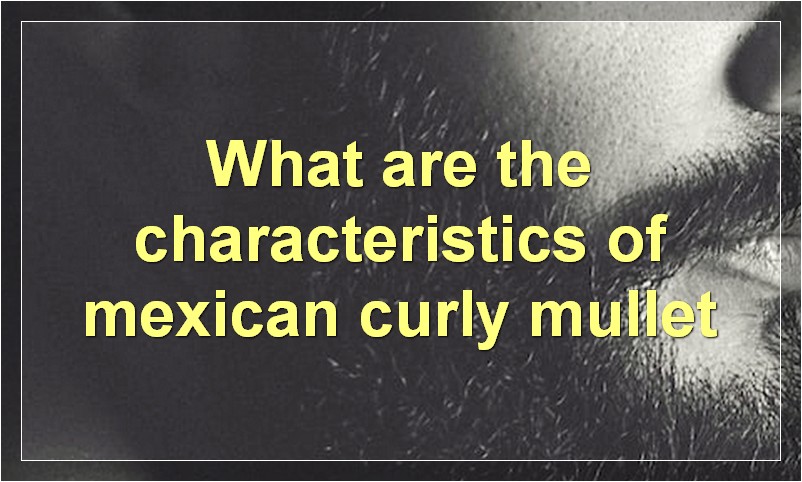 What are the characteristics of mexican curly mullet