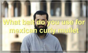 What bait do you use for mexican curly mullet
