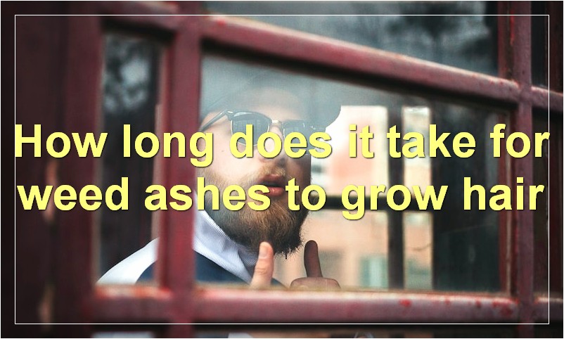 How long does it take for weed ashes to grow hair