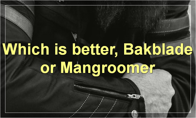 Which is better, Bakblade or Mangroomer
